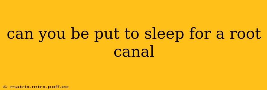 can you be put to sleep for a root canal