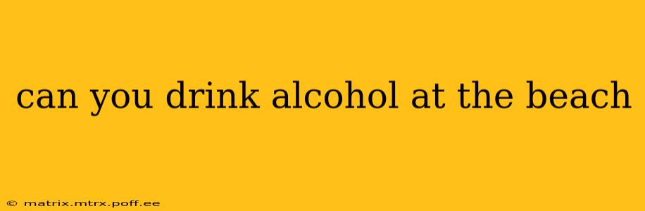 can you drink alcohol at the beach