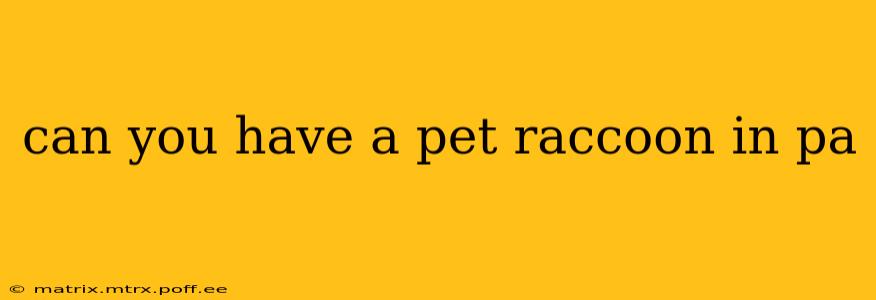can you have a pet raccoon in pa