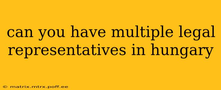 can you have multiple legal representatives in hungary