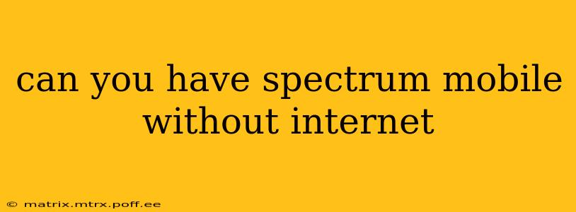 can you have spectrum mobile without internet