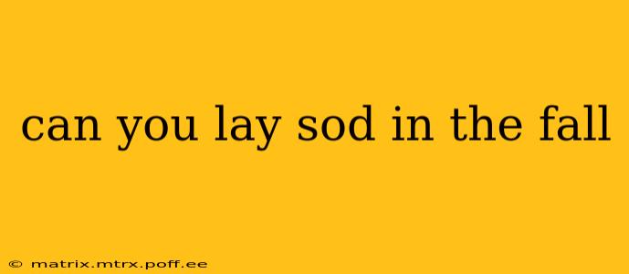 can you lay sod in the fall