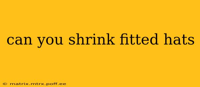 can you shrink fitted hats