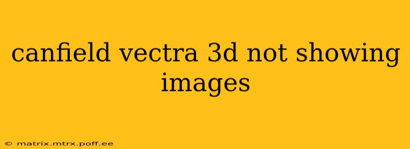 canfield vectra 3d not showing images