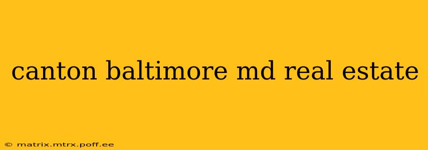 canton baltimore md real estate