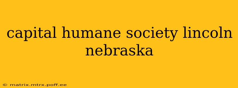 capital humane society lincoln nebraska