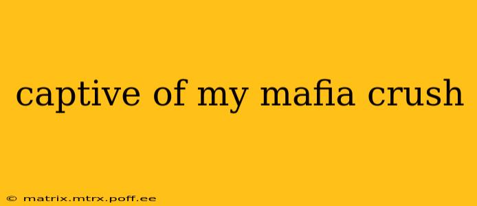 captive of my mafia crush