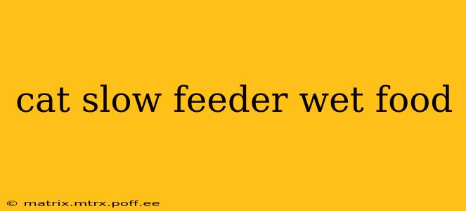 cat slow feeder wet food