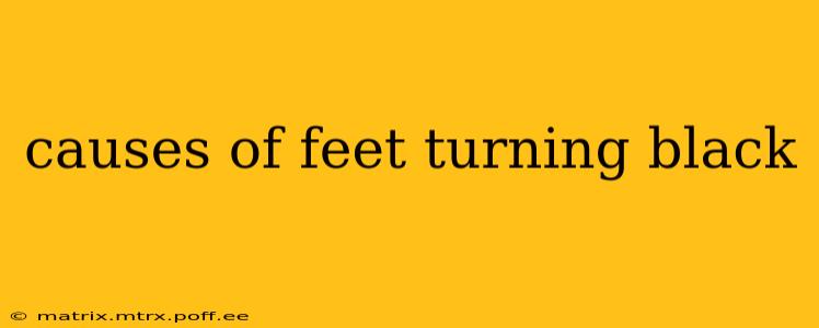 causes of feet turning black