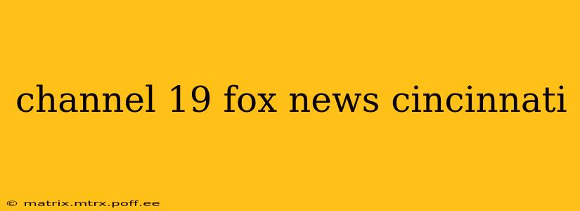 channel 19 fox news cincinnati