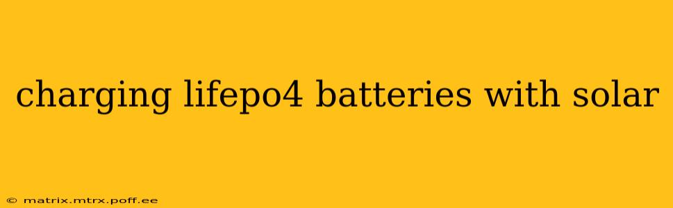 charging lifepo4 batteries with solar