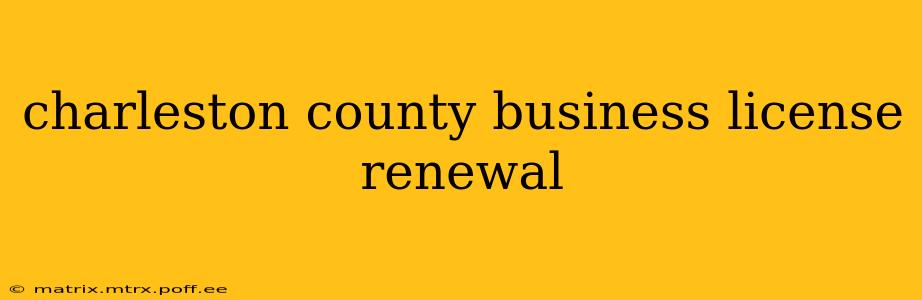 charleston county business license renewal