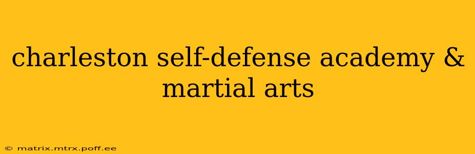 charleston self-defense academy & martial arts