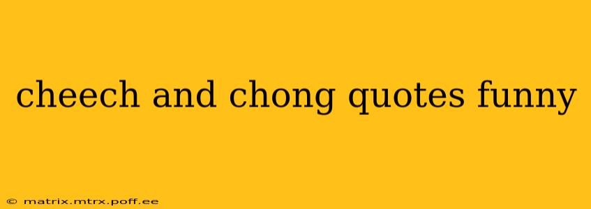 cheech and chong quotes funny