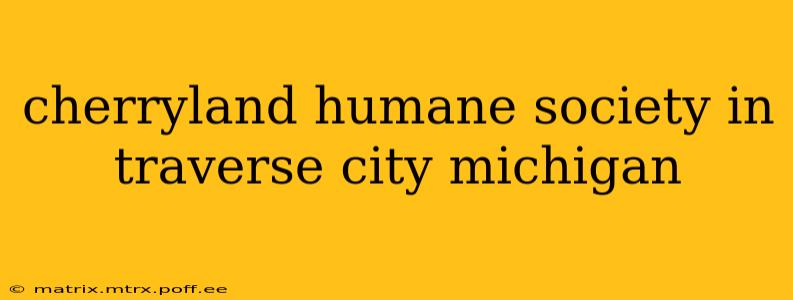 cherryland humane society in traverse city michigan