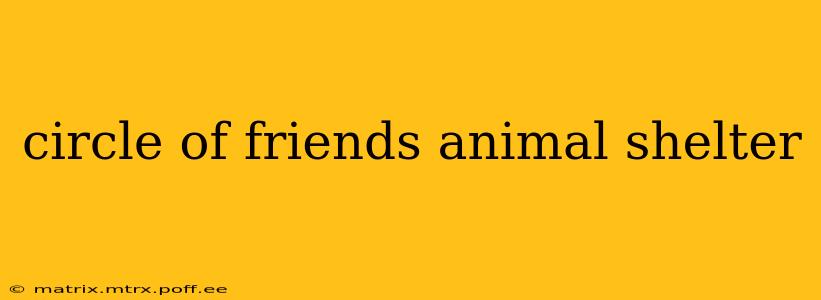 circle of friends animal shelter