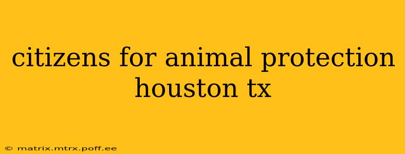 citizens for animal protection houston tx