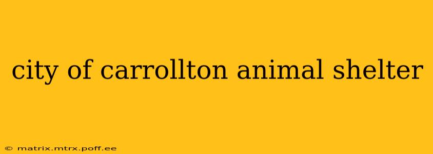 city of carrollton animal shelter