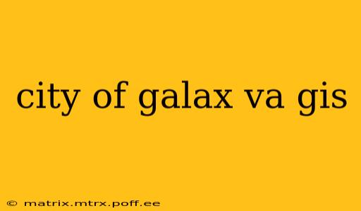 city of galax va gis