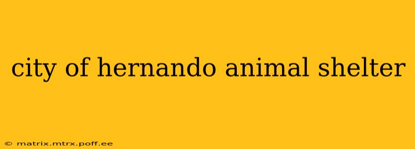 city of hernando animal shelter