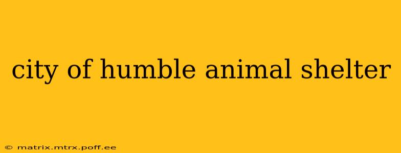 city of humble animal shelter