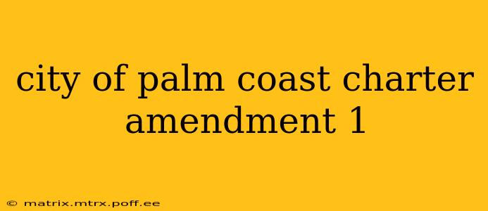 city of palm coast charter amendment 1