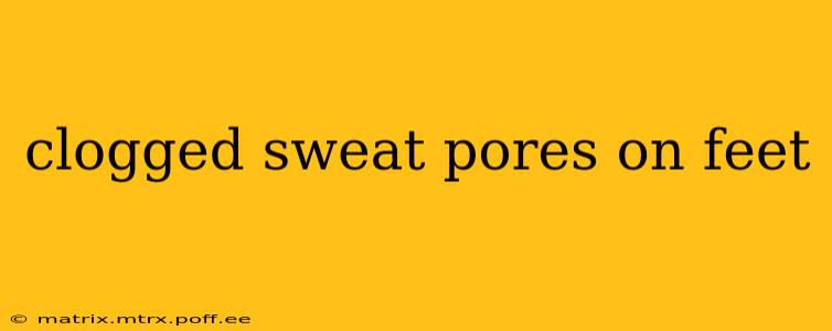 clogged sweat pores on feet