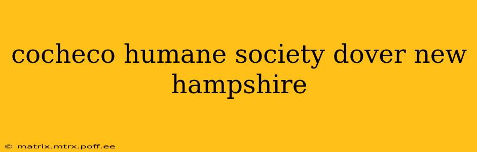 cocheco humane society dover new hampshire