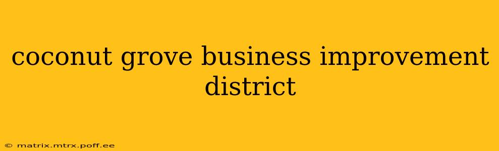 coconut grove business improvement district