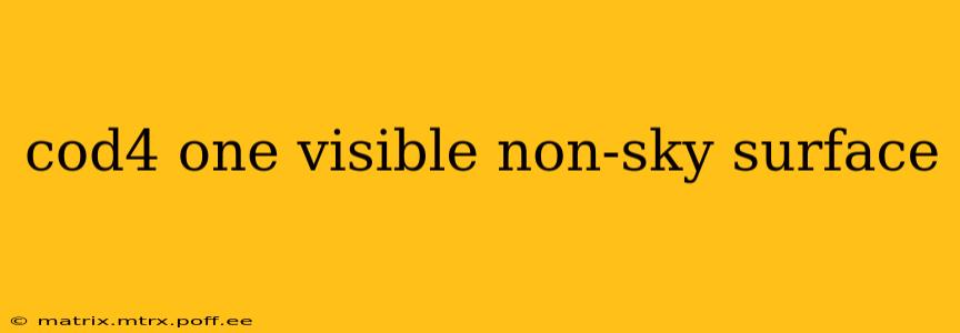 cod4 one visible non-sky surface
