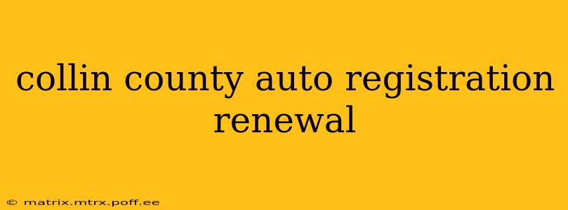 collin county auto registration renewal