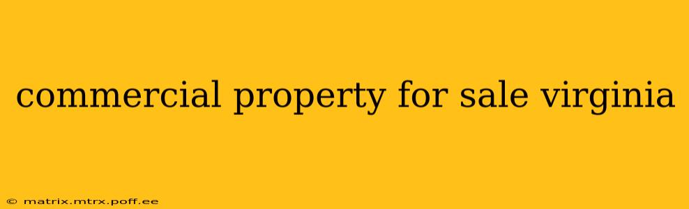 commercial property for sale virginia