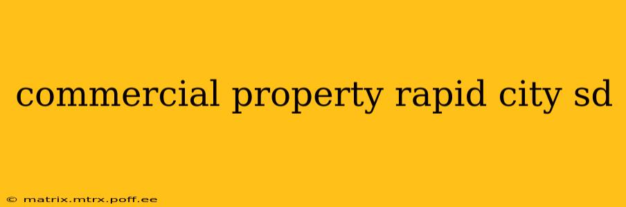 commercial property rapid city sd
