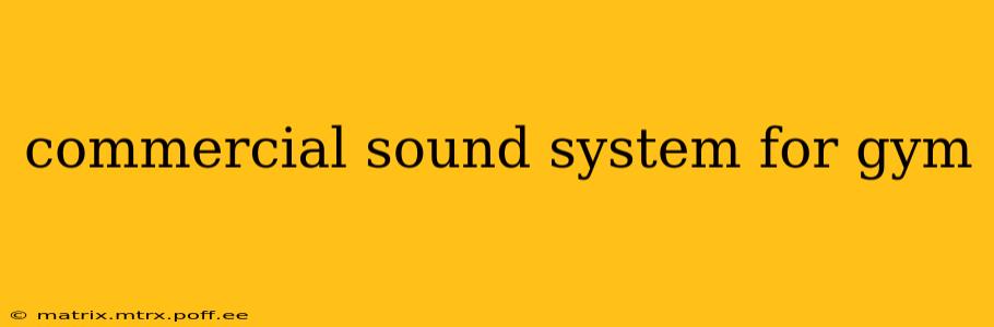 commercial sound system for gym