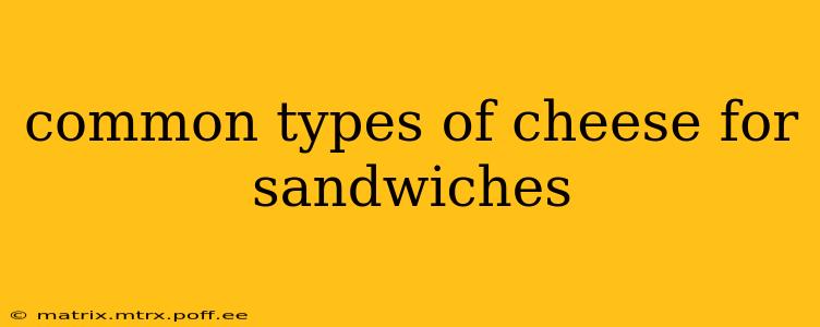 common types of cheese for sandwiches