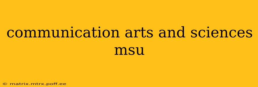 communication arts and sciences msu