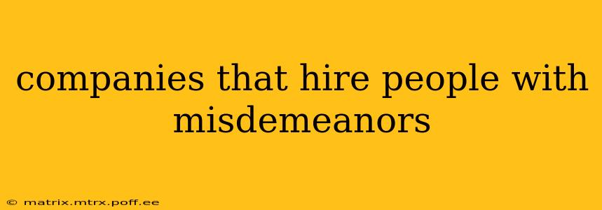 companies that hire people with misdemeanors