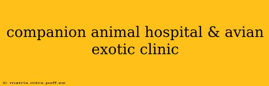 companion animal hospital & avian exotic clinic