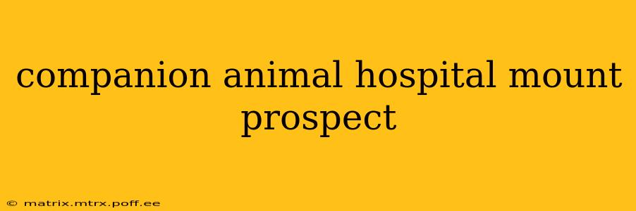 companion animal hospital mount prospect