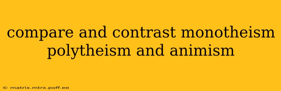 compare and contrast monotheism polytheism and animism