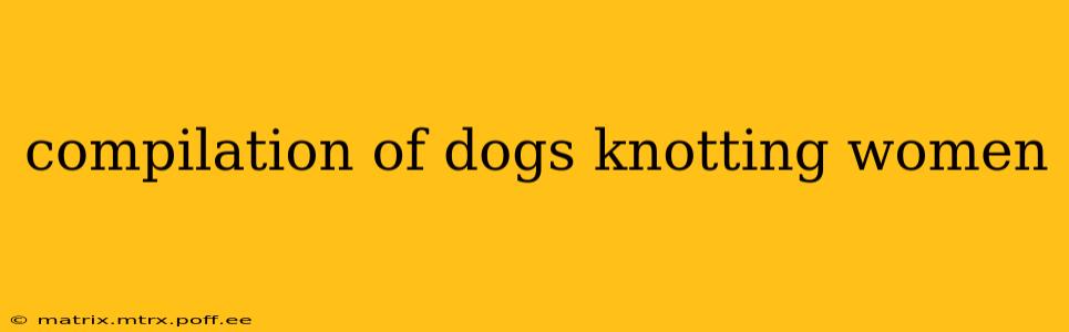 compilation of dogs knotting women