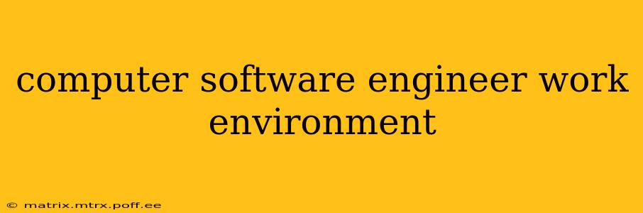 computer software engineer work environment