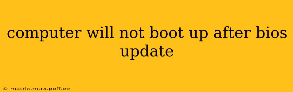 computer will not boot up after bios update