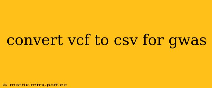 convert vcf to csv for gwas