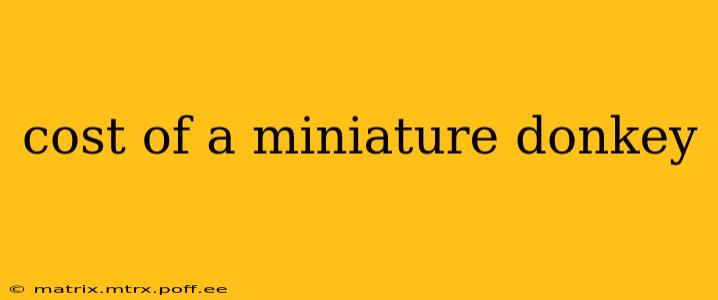 cost of a miniature donkey