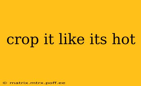 crop it like its hot