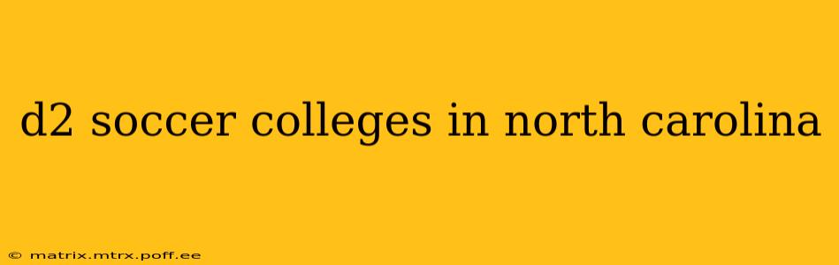 d2 soccer colleges in north carolina