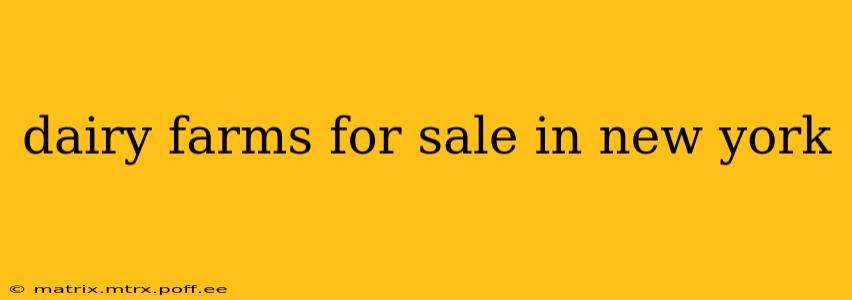 dairy farms for sale in new york