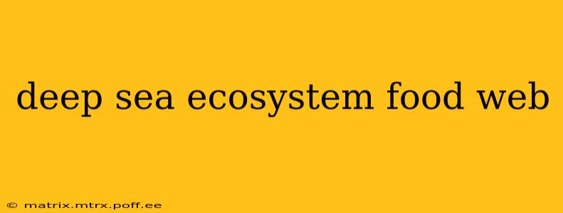 deep sea ecosystem food web