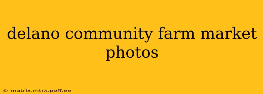 delano community farm market photos